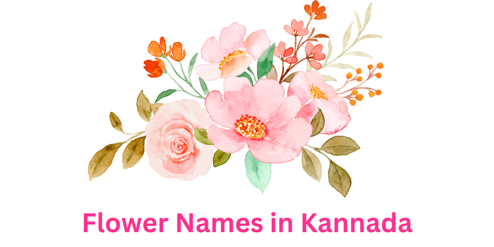 List Of 40 Flowers Name In Kannada