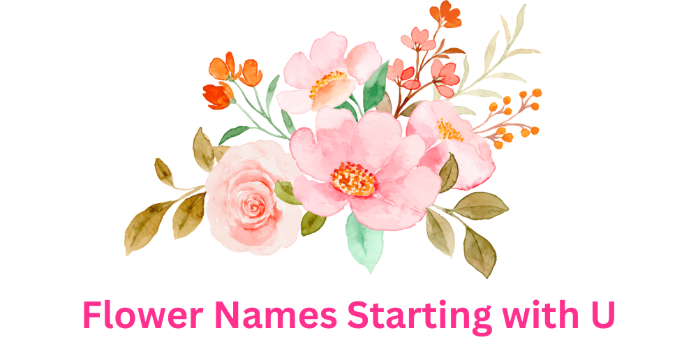 Flowers That Start With U: Discovering Nature